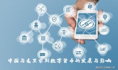 中国与毛里求斯数字货币的发展与影响