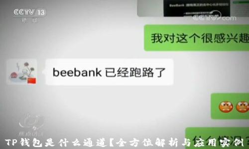 
TP钱包是什么通道？全方位解析与应用实例