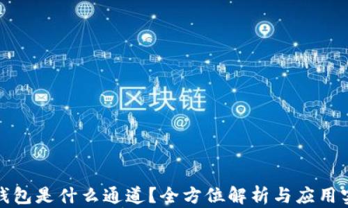 
TP钱包是什么通道？全方位解析与应用实例
