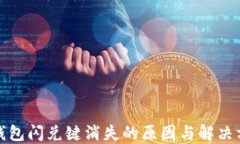TP钱包闪兑键消失的原因与解决方案