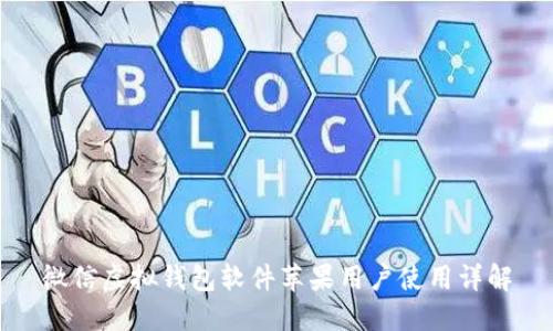 微信虚拟钱包软件苹果用户使用详解