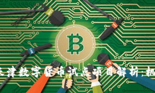 2023年天津数字货币试点项目解析：机遇与挑战