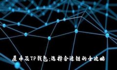 屎币及TP钱包：选择合适链的全攻略