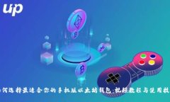 如何选择最适合你的手机版以太坊钱包：视频教