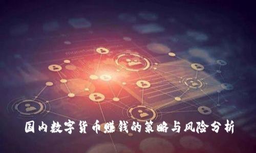 国内数字货币赚钱的策略与风险分析