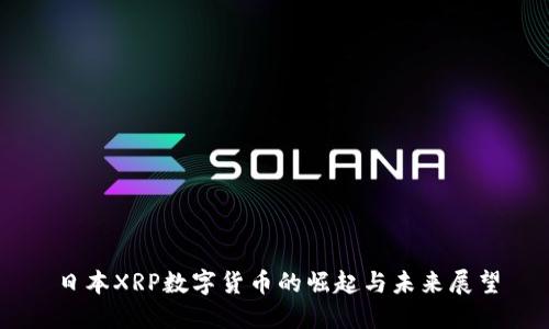 日本XRP数字货币的崛起与未来展望