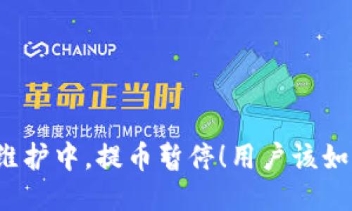 TP钱包维护中，提币暂停！用户该如何应对？