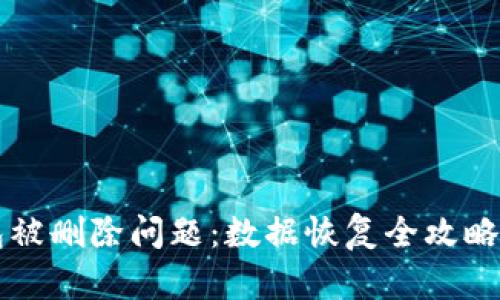 如何解决TP钱包被删除问题：数据恢复全攻略及用户经验分享