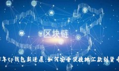 2023年tp钱包新进展：如何安全便捷地汇款到货币
